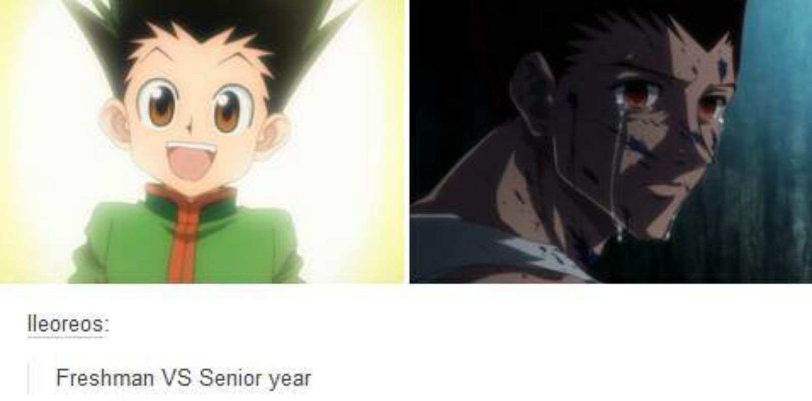 Leorio faps too much - Meme by B2-_. :) Memedroid