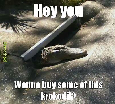 Do not Google Krokodil! - meme