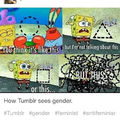 How Tumble sees gender