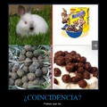 Coincidencia