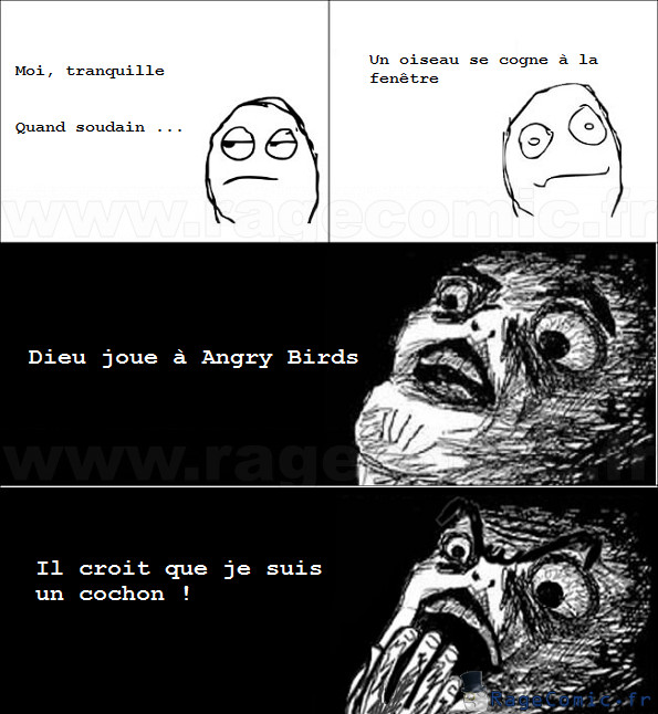 Angry Birds - meme