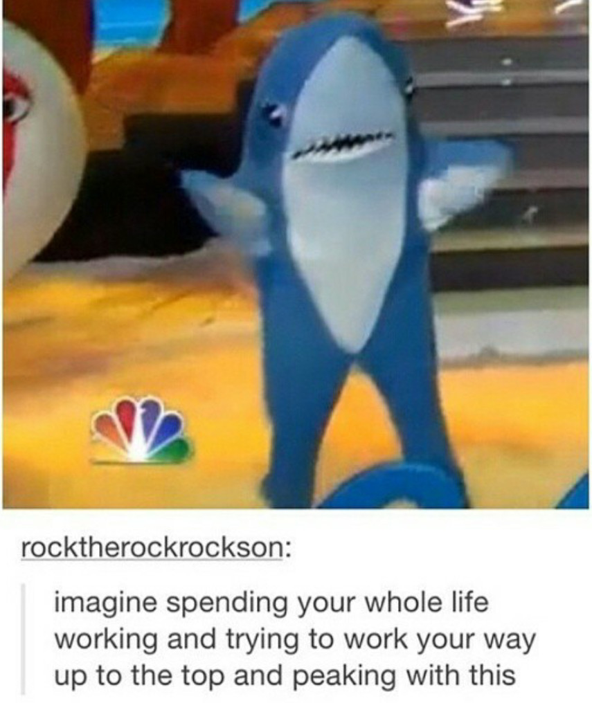 Super bowl shark is the best - meme