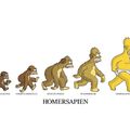 Homer evolution