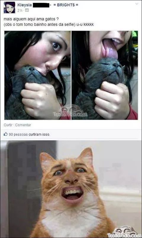kkkk - meme