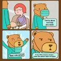 Urso cirurgião