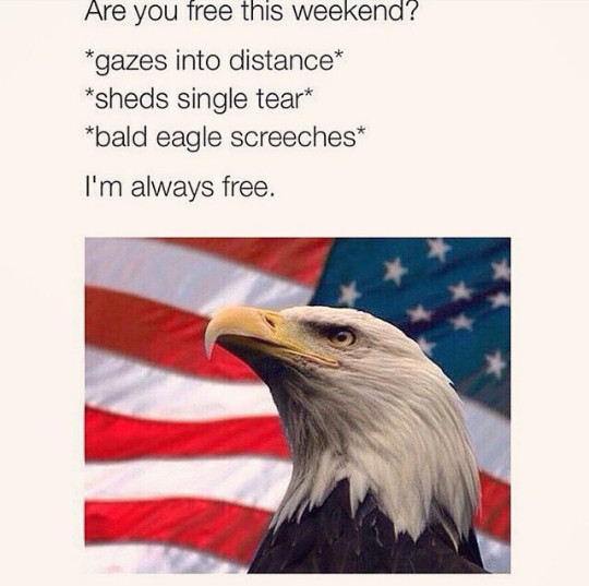 Freedom - meme