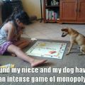 Just a dog playing monopoly