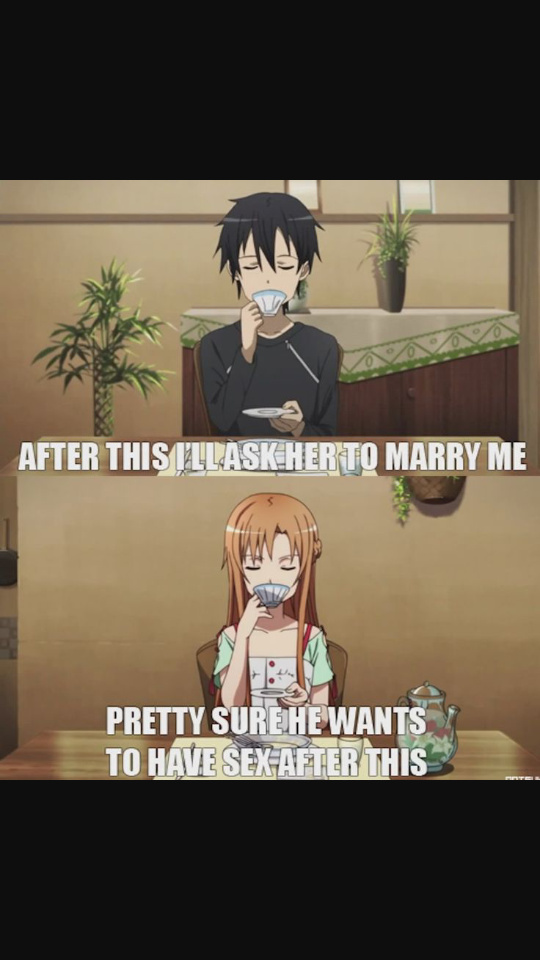 Asuna and her misconceptions.... - meme