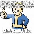 Legit Fallout 4