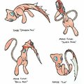 Does this mean Mew is a parasyte?