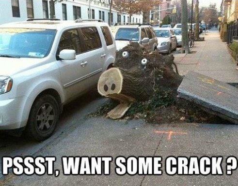 Crack, root ingredient: asphalt - meme