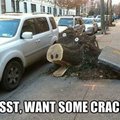 Crack, root ingredient: asphalt