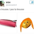 Patate rousse