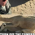 Turn off the camera
