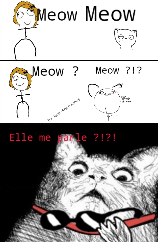 Meow Meow , tu comprend ? - meme