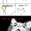 Meow Meow , tu comprend ?