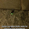 Le wild barata de LED appears