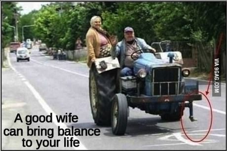 a good wife - meme