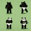 A verdade sobre os pandas