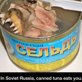 En russie, c'est les boîtes de conserve de thon qui te dévore.