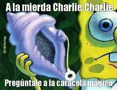 Charli ya arto - meme