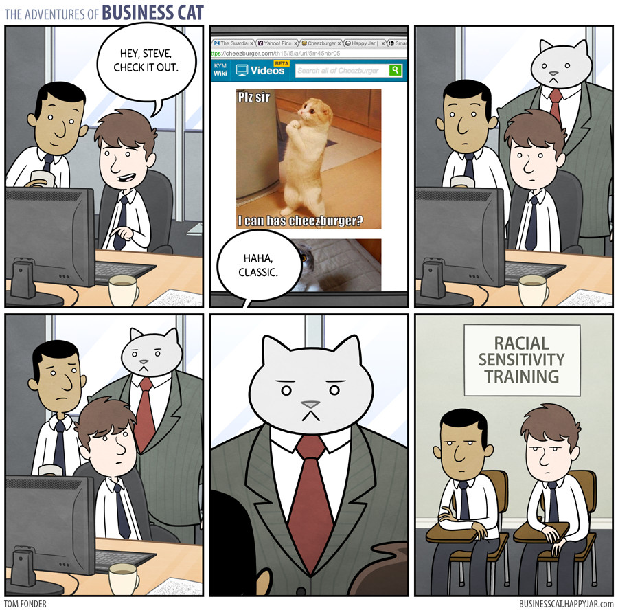 The adventures of the bussiness cat - meme