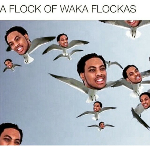 Waka Flocka - meme