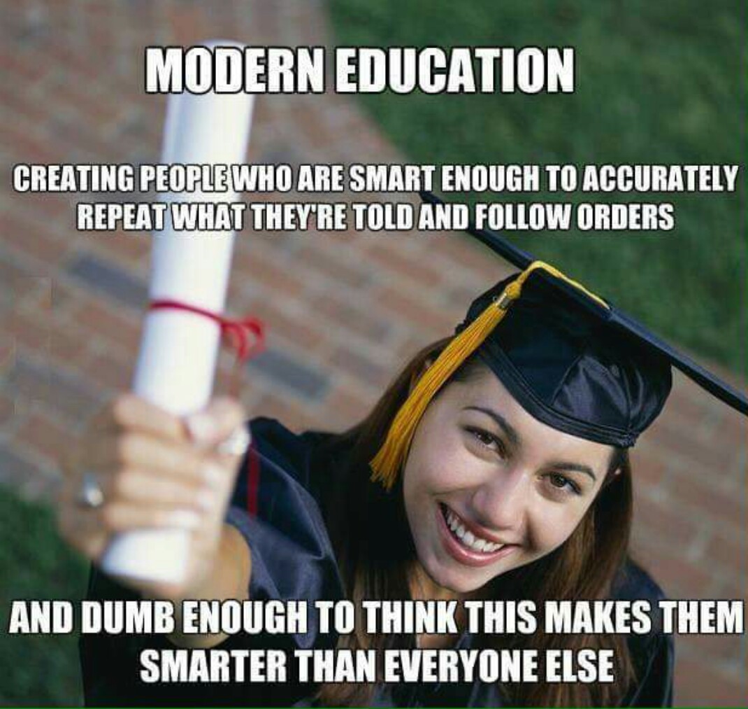 Modern education - meme