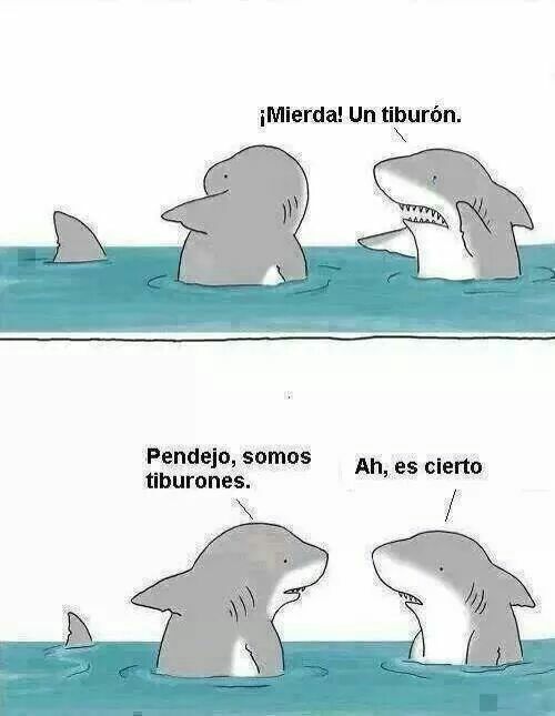 Hahaha esos tiburones - meme