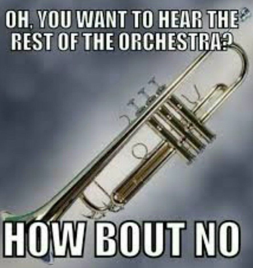 We all know that one trumpet player... - meme