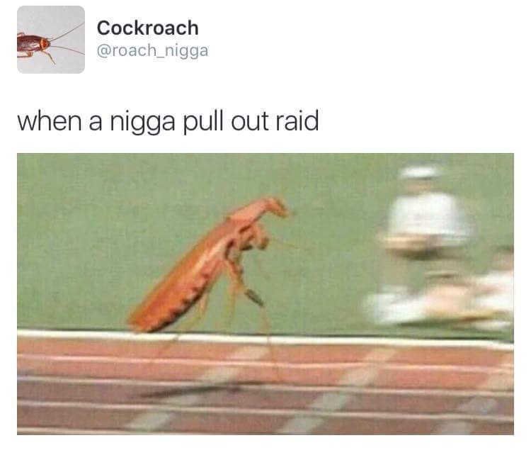 Roach - meme