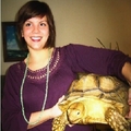 :( Las tortugas duran muchos años :(