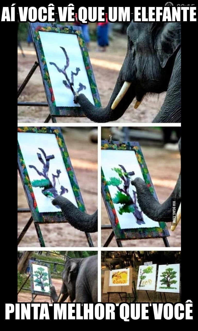 malditos elefantes - meme