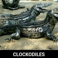 Clockodiles