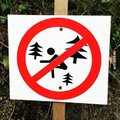 Proibido cagar árvores (dafuq?)