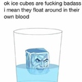 ice cube? more like gay cube