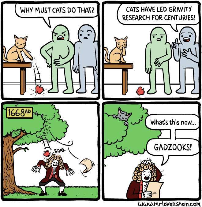 cats are geniuses - meme