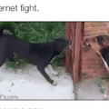 Internet fight