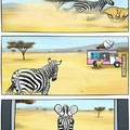 É Zebra, fica pra próxima!!! Hahaha