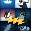 En Titanic nadie piensa en los pingüinos :(