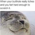 My butthole always itches