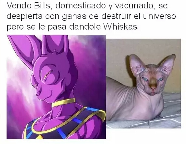 ¯\_(ツ)_/¯ - meme