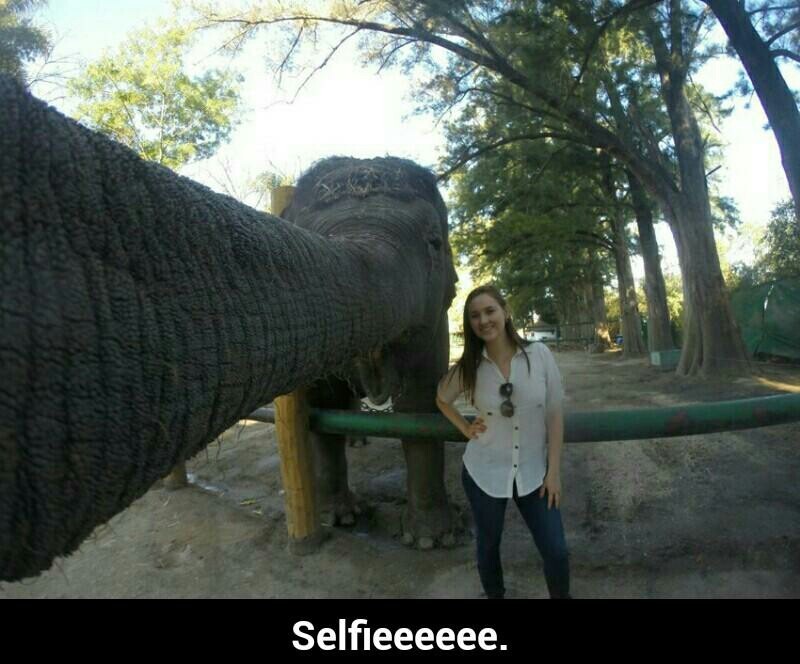 Selfie level: pro - meme