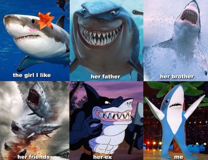 Shark story - meme