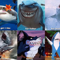 Shark story