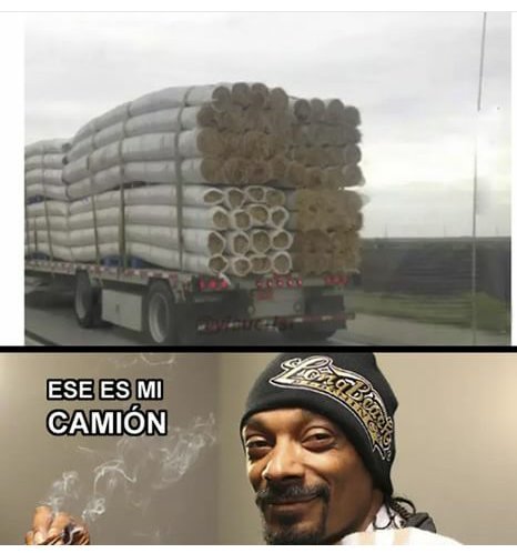 Snoop dog - meme