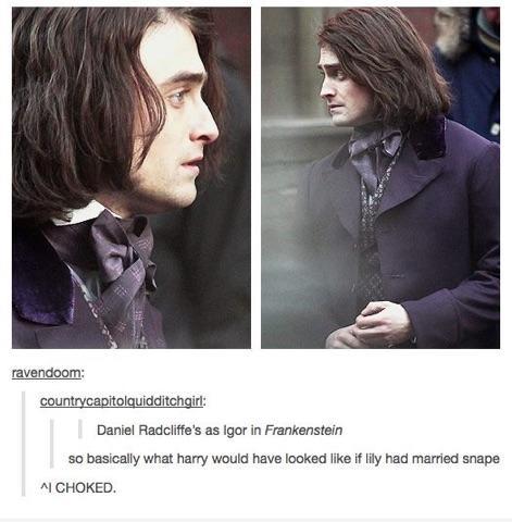 Harry Snape - meme