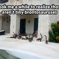 I need a tiny stegosaurus. What tiny dinosaur do you want?