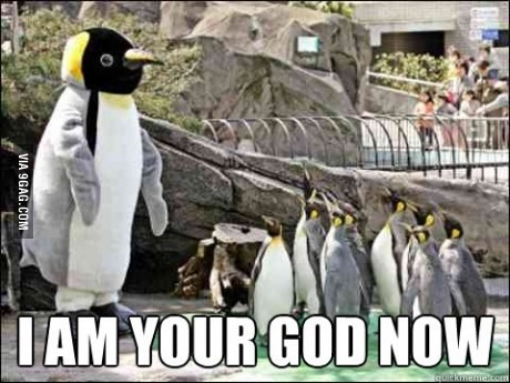 Penguin God - meme