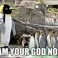 Penguin God